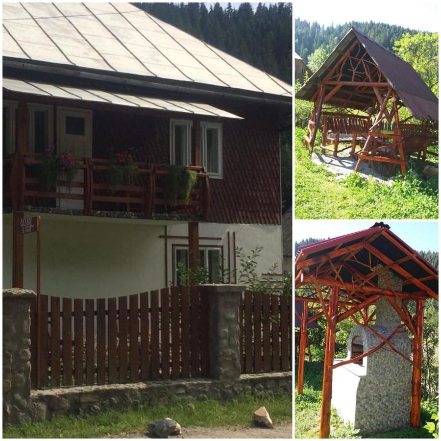 Casa De Vacanta Joldes 호텔 Gîrda de Sus 외부 사진