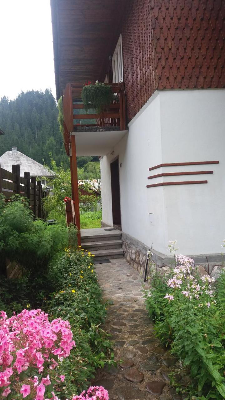 Casa De Vacanta Joldes 호텔 Gîrda de Sus 외부 사진